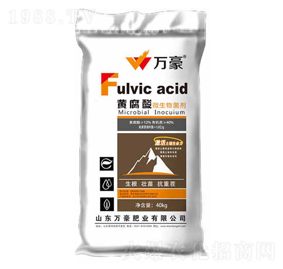 �S����΢�������-�f���r�I(y��)