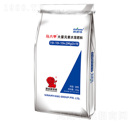 ����Ԫ��ˮ�ܷ���19-19-19+2MgO+TE-�R����-Сħ��