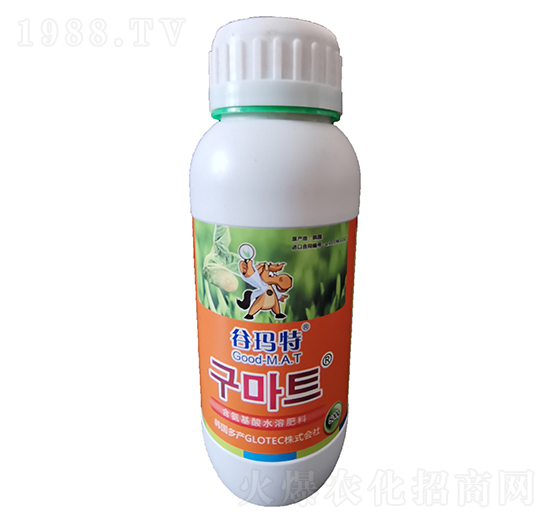 ���߶���-�������-�Ȭ����H��