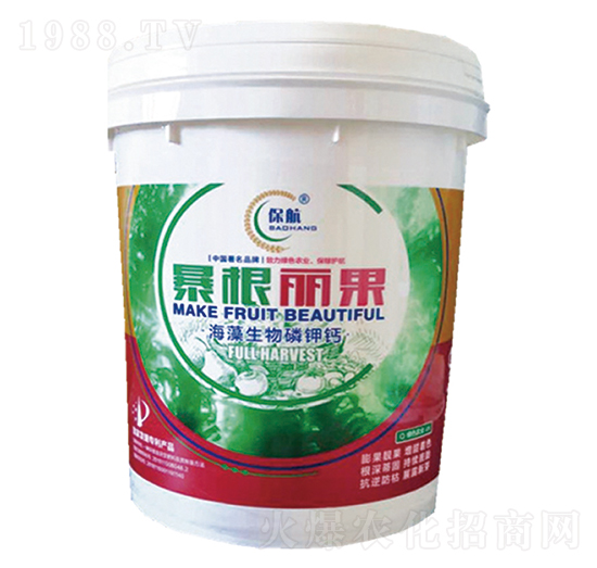 ��������-������������}-�Ȭ����H��