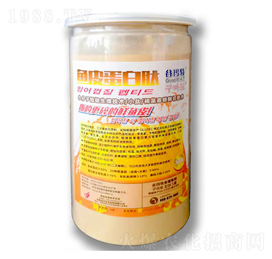 �~Ƥ������-�Ȭ����H��