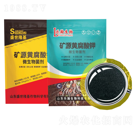 �VԴ�S�����-ʢ��¡��