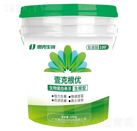 ���ﵰ�בҸ�������-Ҽ�˸���(y��u)-Ҽ������