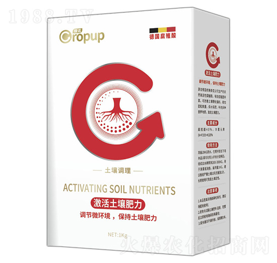 �����{(di��o)����~���-���Z-�¶�����