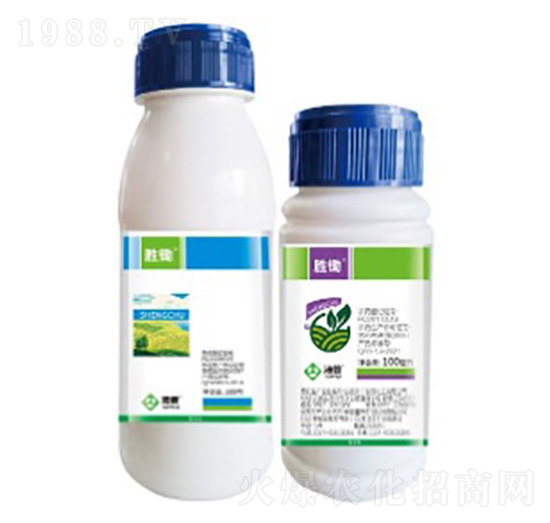 ���z-���՘�