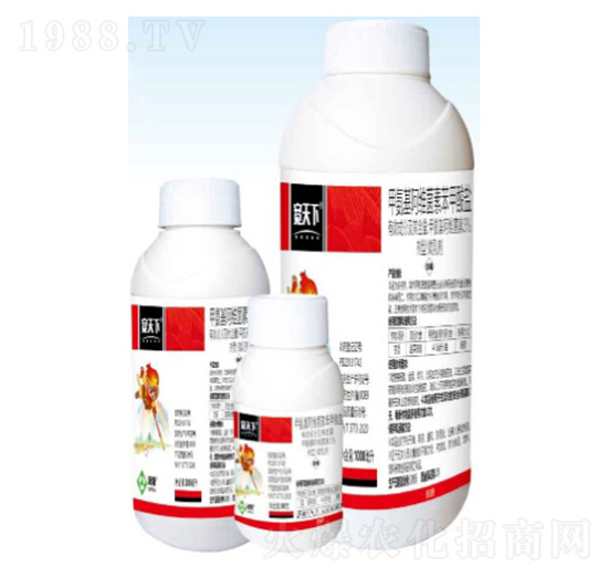 3%�װ������S���ر������}΢�鄩-������-���՘�