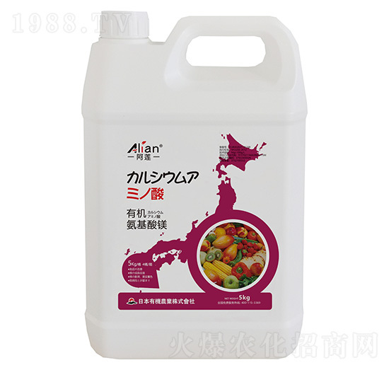 �ЙC�������V-��ɏ-���r��