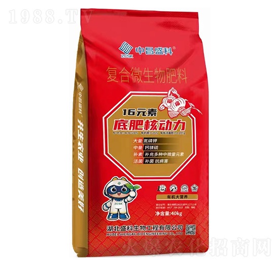 �ͺ�΢�������-�в�ʢ��-ʢ������