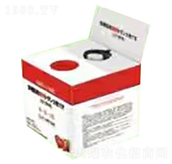 ����-�ѹ�Ӣ