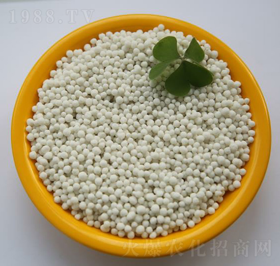 ��ʧ����-���B��