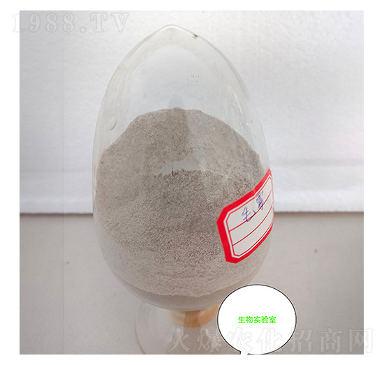 ëù���N-�Ű�����