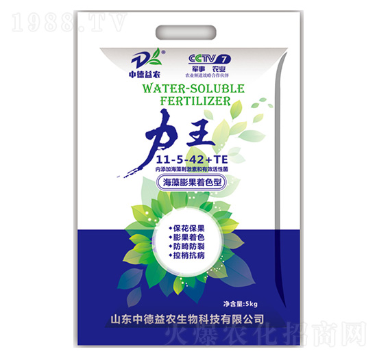 ���������ɫ��11-5-42+TE-����-�е����r(n��ng)