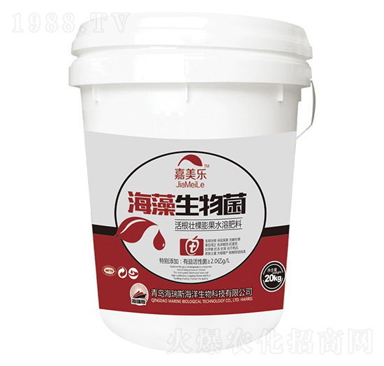 ���������-������(l��)-����˹