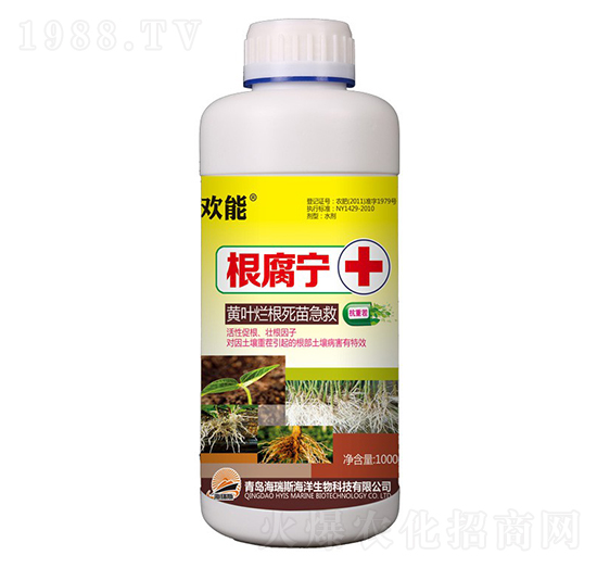 1000g�g�ܡ�������+�S�~�������缱��-����˹