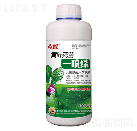 1000g�g�ܡ��S�~����һ���G-����˹