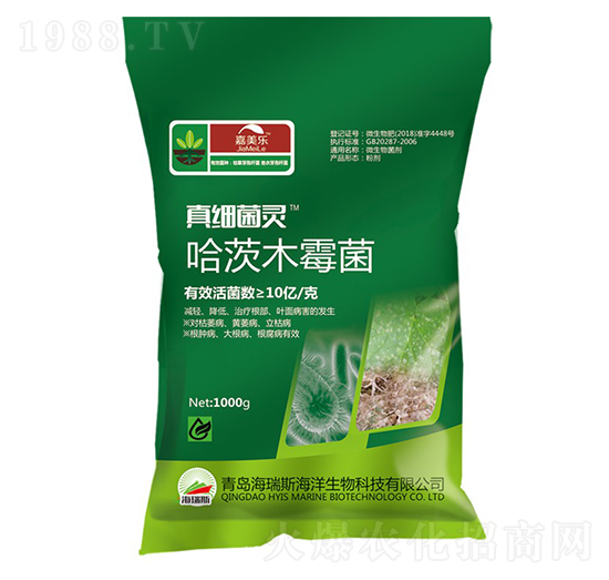 ����ľù��-�漚���`-������-����˹