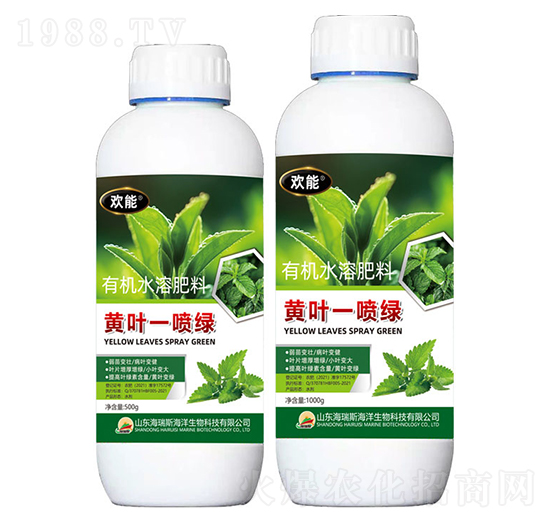 �S�~һ���G-�g��-����˹