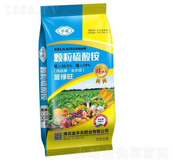 �w�������@-�Й�-���S��