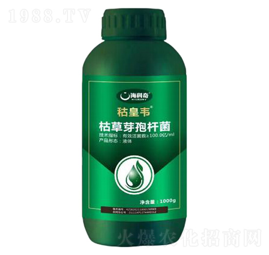 �ݲ�ѿ�ߗU��-�s���f-������