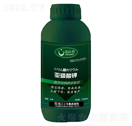 �������-������