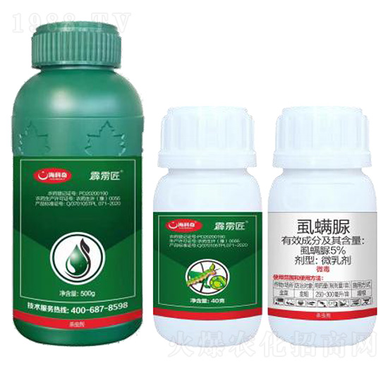 5%ʭ����-���Z��-������