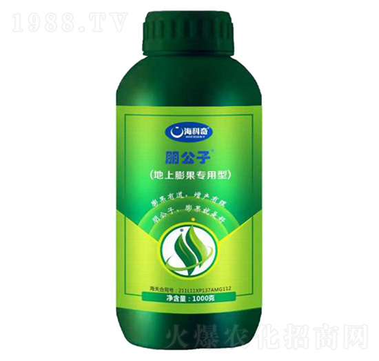 ������������ʹ���Ԫ��ˮ�ܷ���-����-������