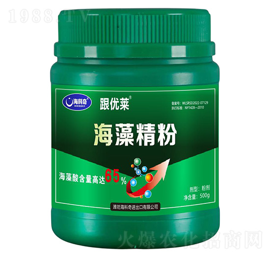 ���徫��-����(y��u)�R-������