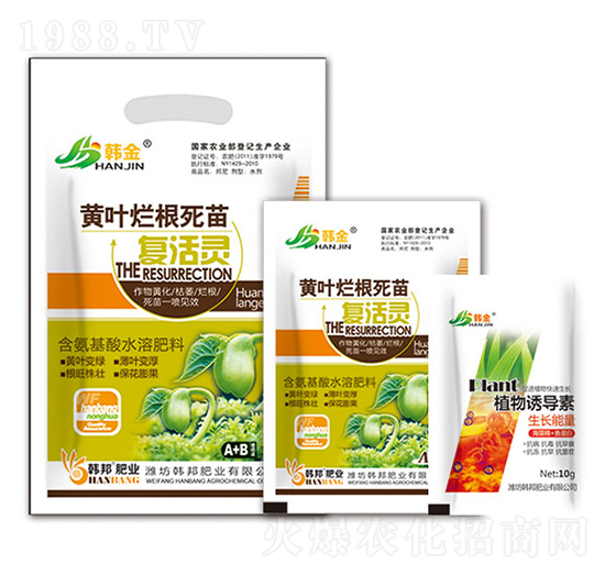 �S�~��������ͻ��`-�n��-�n��ʘI(y��)