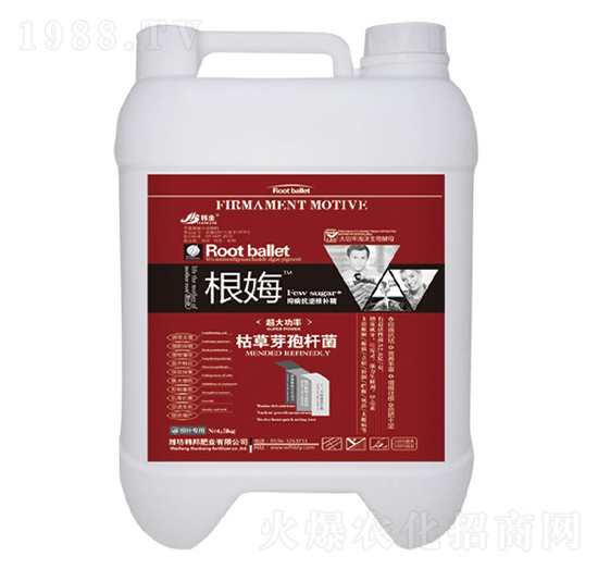 �ݲ�ѿ�ߗU��-��ķ-�n��-�n��ʘI(y��)