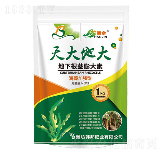 ����ӏ�(qi��ng)�͵��¸��o�����-���ش�-�n��-�n��ʘI(y��)