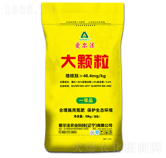 ���w������35-0-0-�۠���