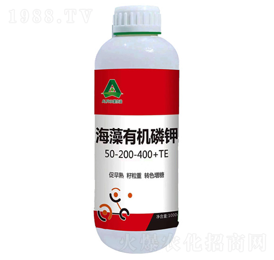 �����ЙC(j��)���-�۠���