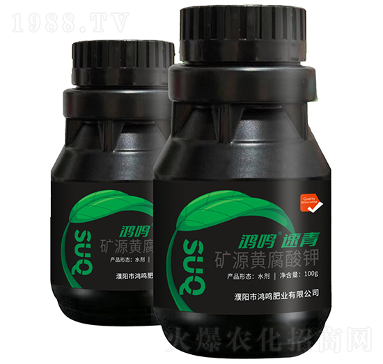 �VԴ�S�����-���Q������-���Q