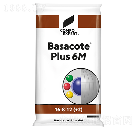 �^�p�@ˇ��16-8-12��6M��-���_��-����