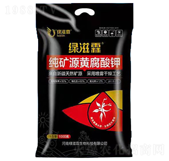 ���VԴ�S�����-�G����