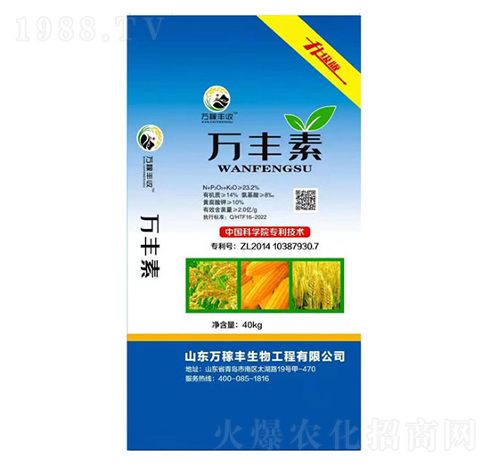 40kg�f�S��-�f���S