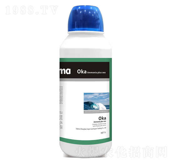 �W�����Ӻ�-�W����