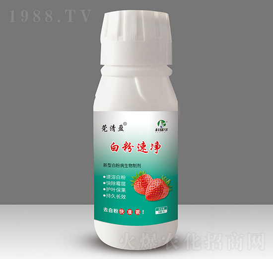 �׷��ك�-�����A