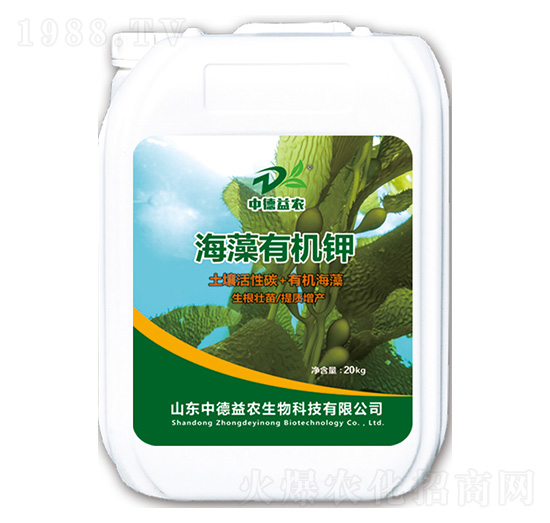 �����ЙC�-�е����r(n��ng)