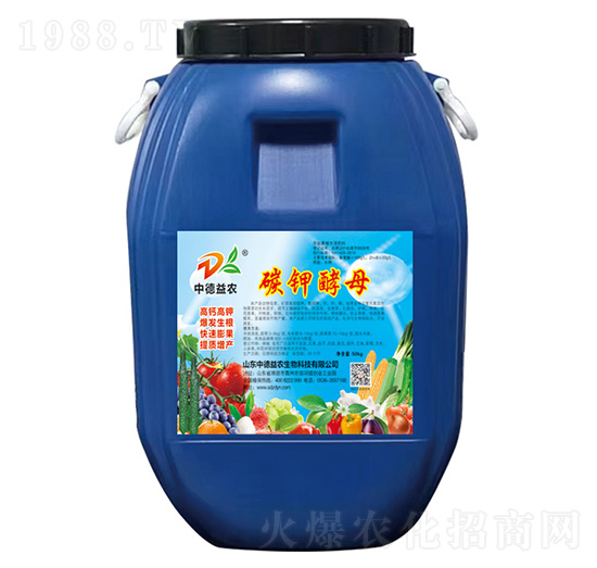 ̼⛽�ĸ-�е����r(n��ng)