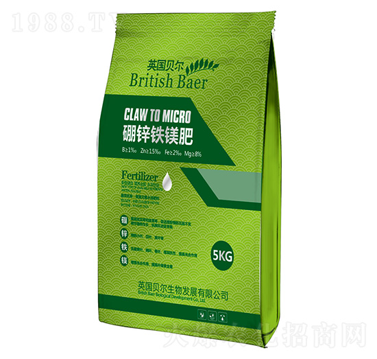 �}�V���F�\��-Ӣ��(gu��)ؐ��-�е����r(n��ng)