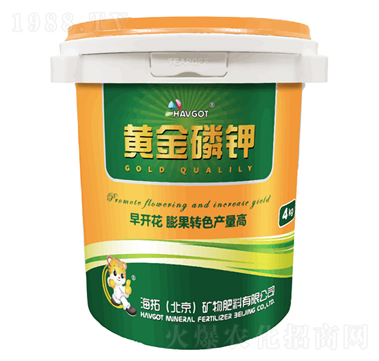 �S�����-����