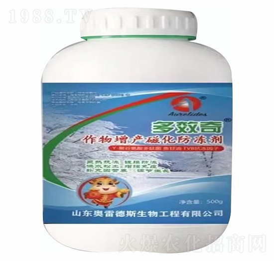 500g�������a�Ż�������-��Ч��-�W�׵�˹