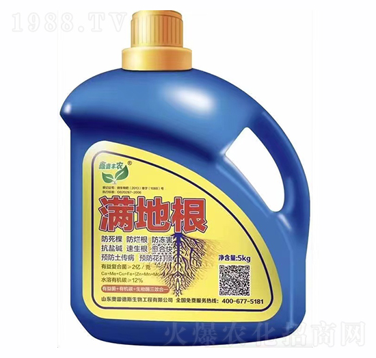 �M�ظ�-�W�׵�˹