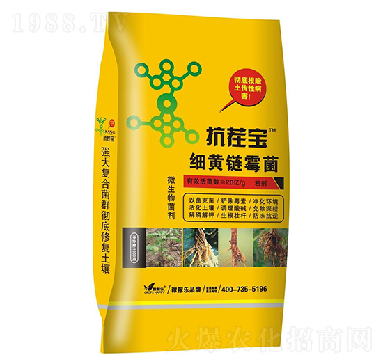 ���S�ù��-���猚-�ڼژ�