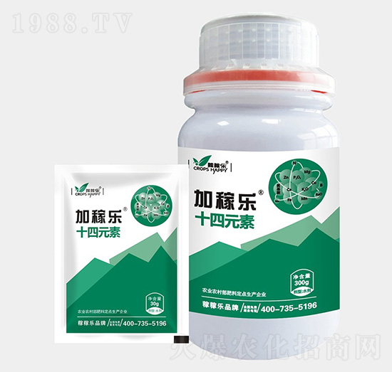 ʮ��Ԫ��-�Ӽژ�-�ڼژ�