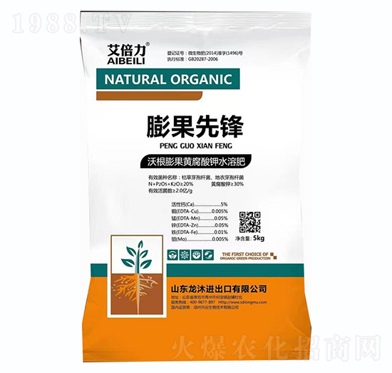 ������h-������-���̴T��