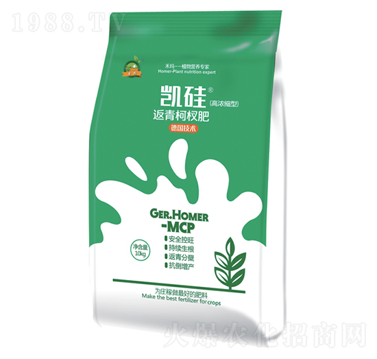 �����辷�-�P��-�̬�����