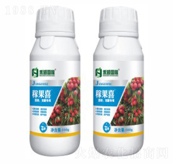 ��֦�����ی���-�ڹ�ϲ-�̷f����