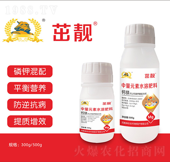 ����Ԫ���}�V��-�������r